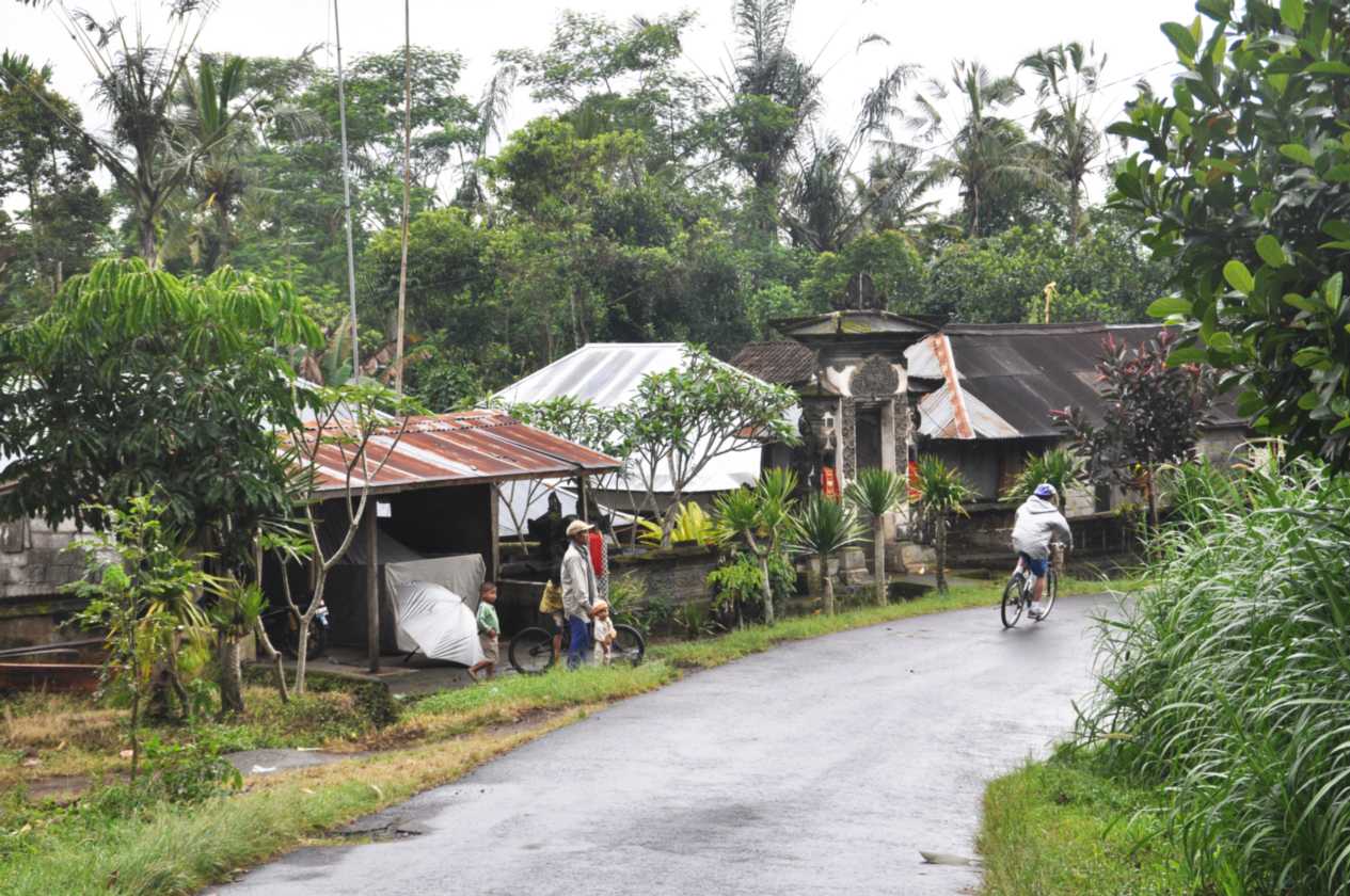 12 indo2010-16