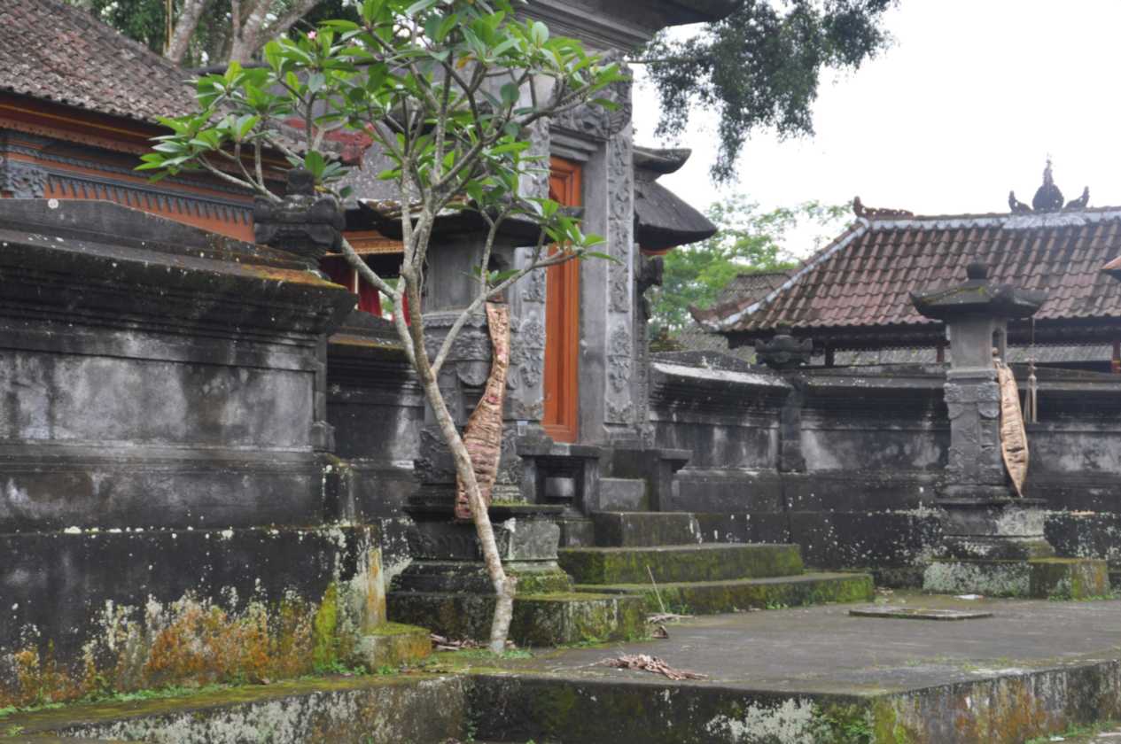 12 indo2010-21