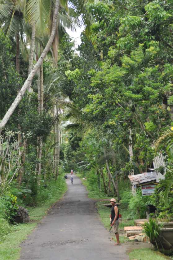12 indo2010-38