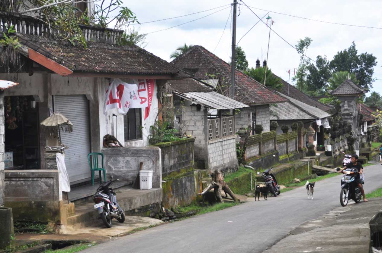 12 indo2010-43