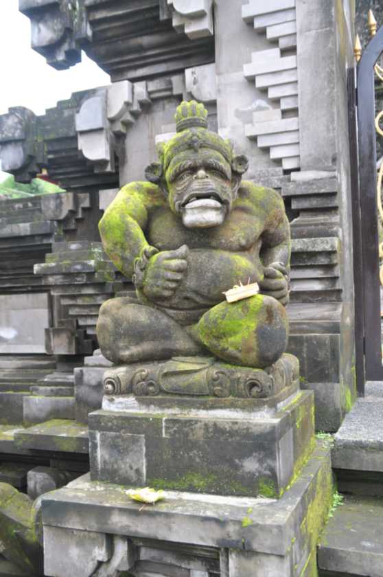 12 indo2010-52