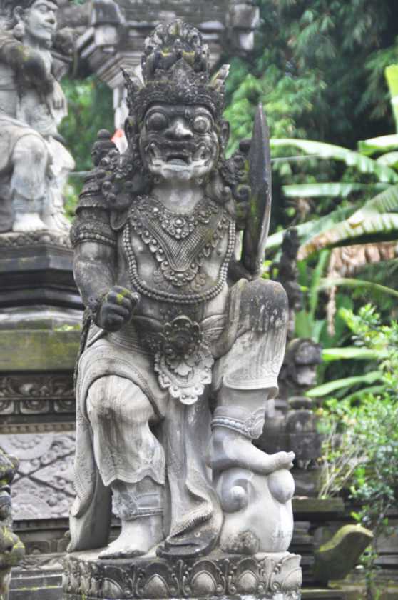 12 indo2010-53