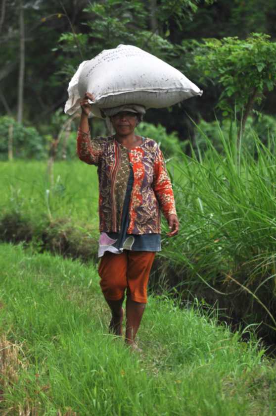 12 indo2010-63