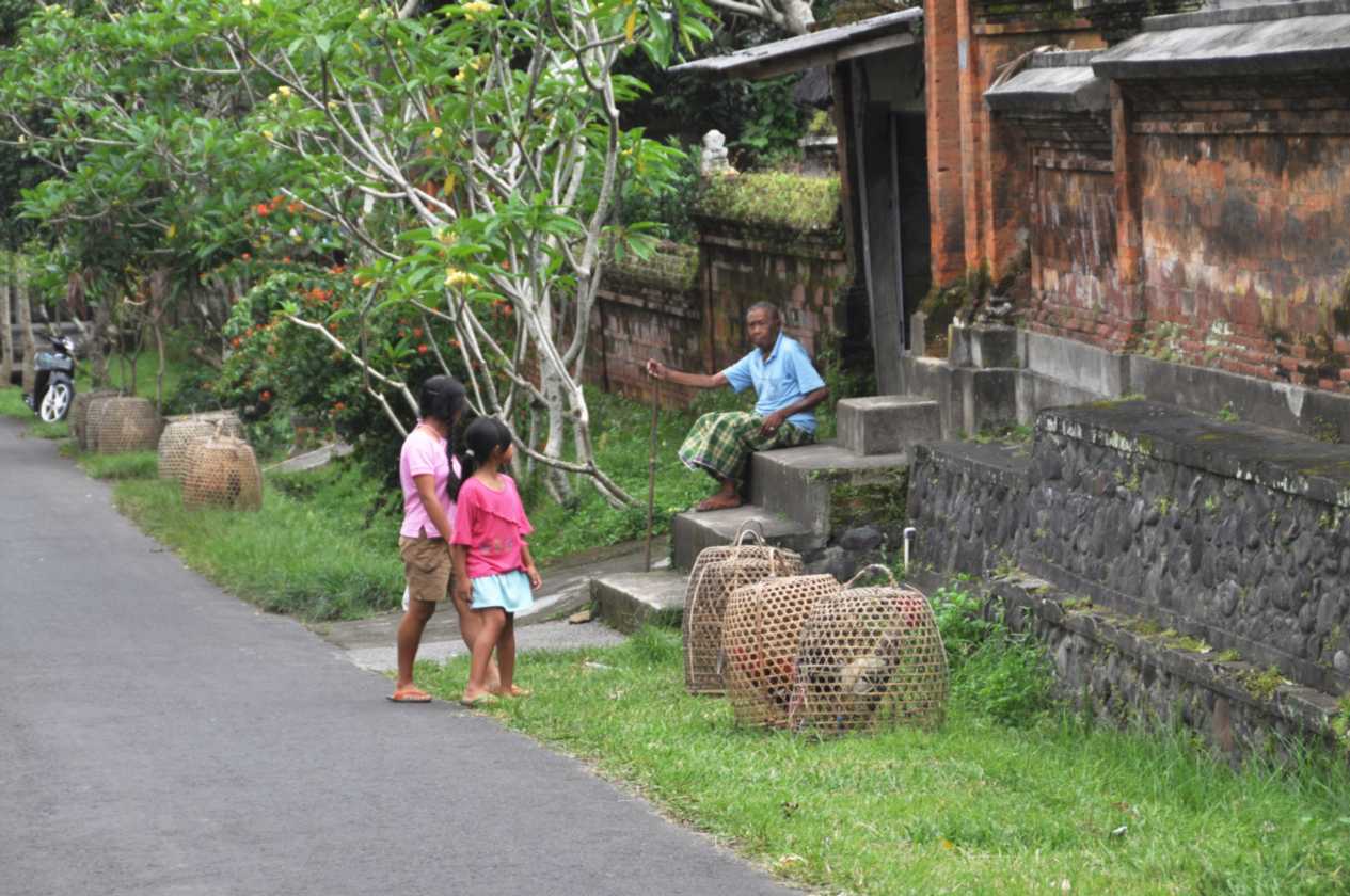12 indo2010-67