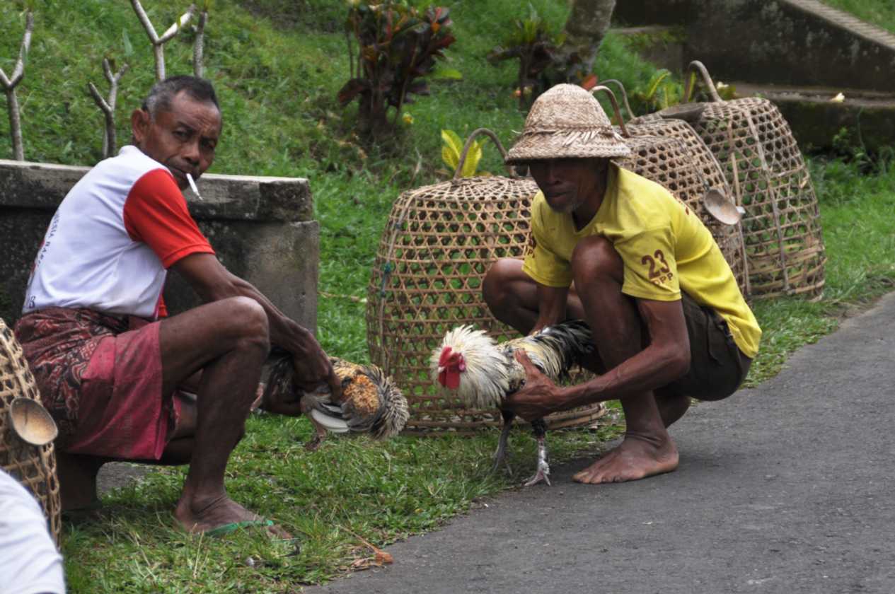 12 indo2010-68
