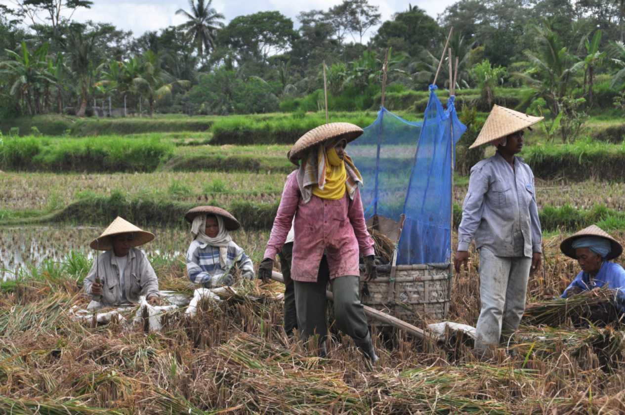 12 indo2010-71