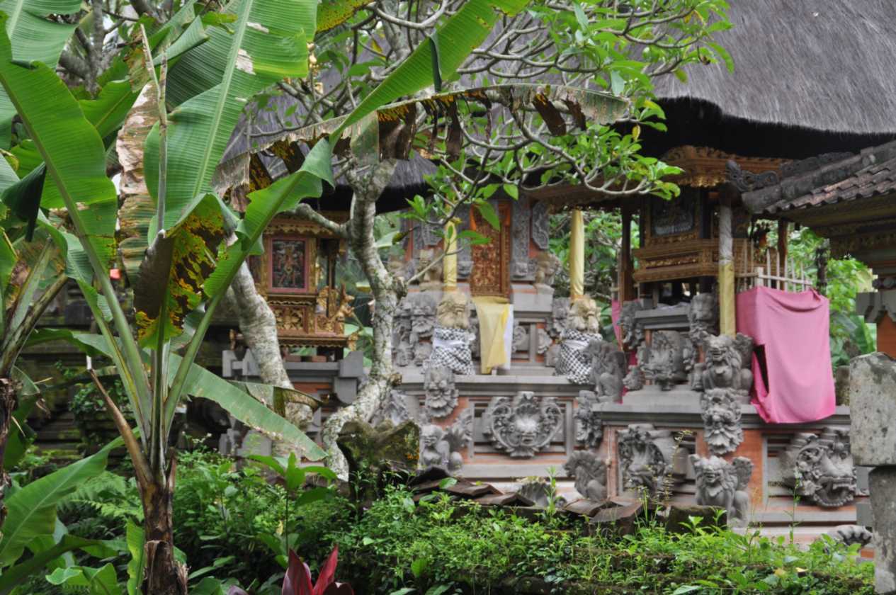 12 indo2010-76