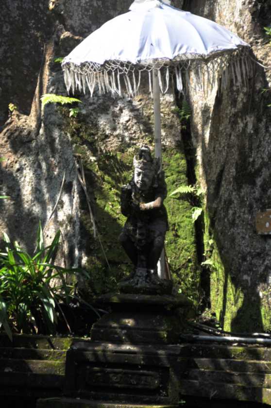 14 indo2010-11