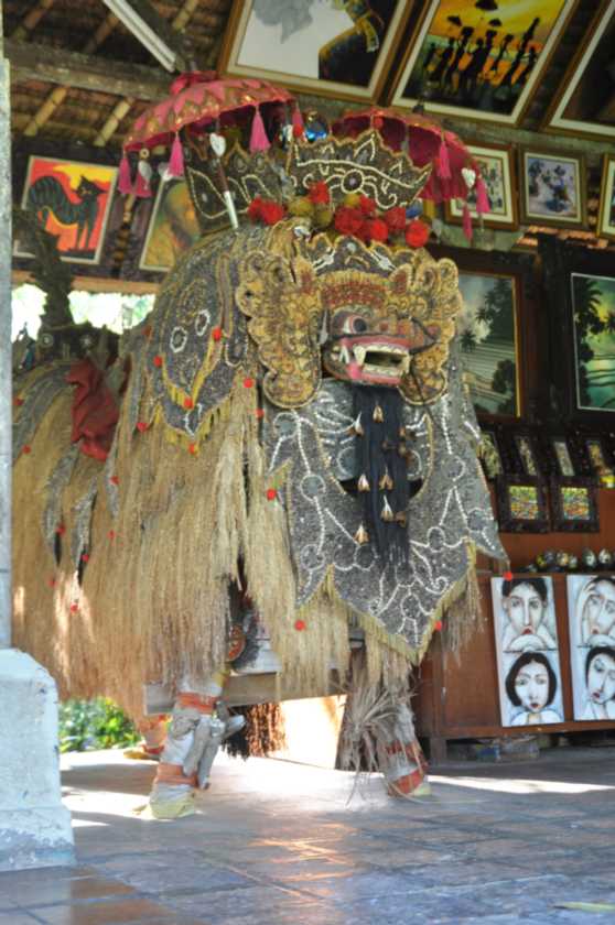14 indo2010-17