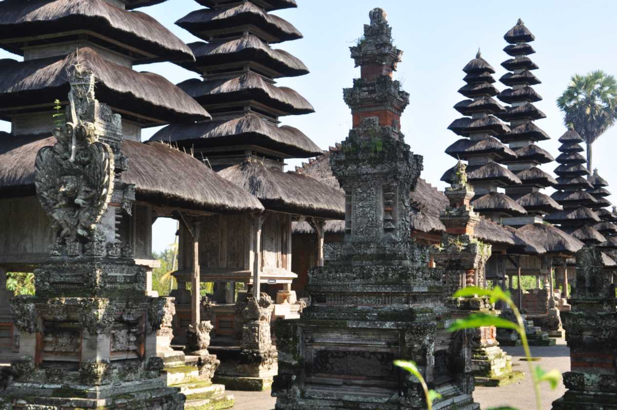 14 indo2010-22