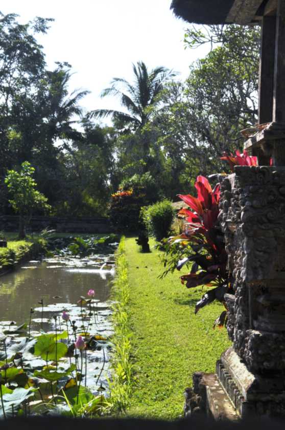 14 indo2010-23