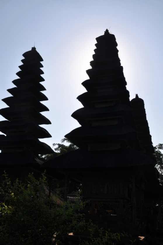 14 indo2010-24