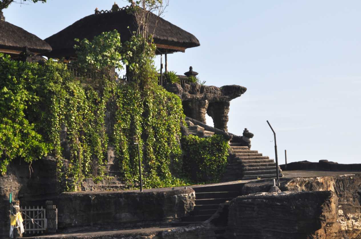 14 indo2010-27