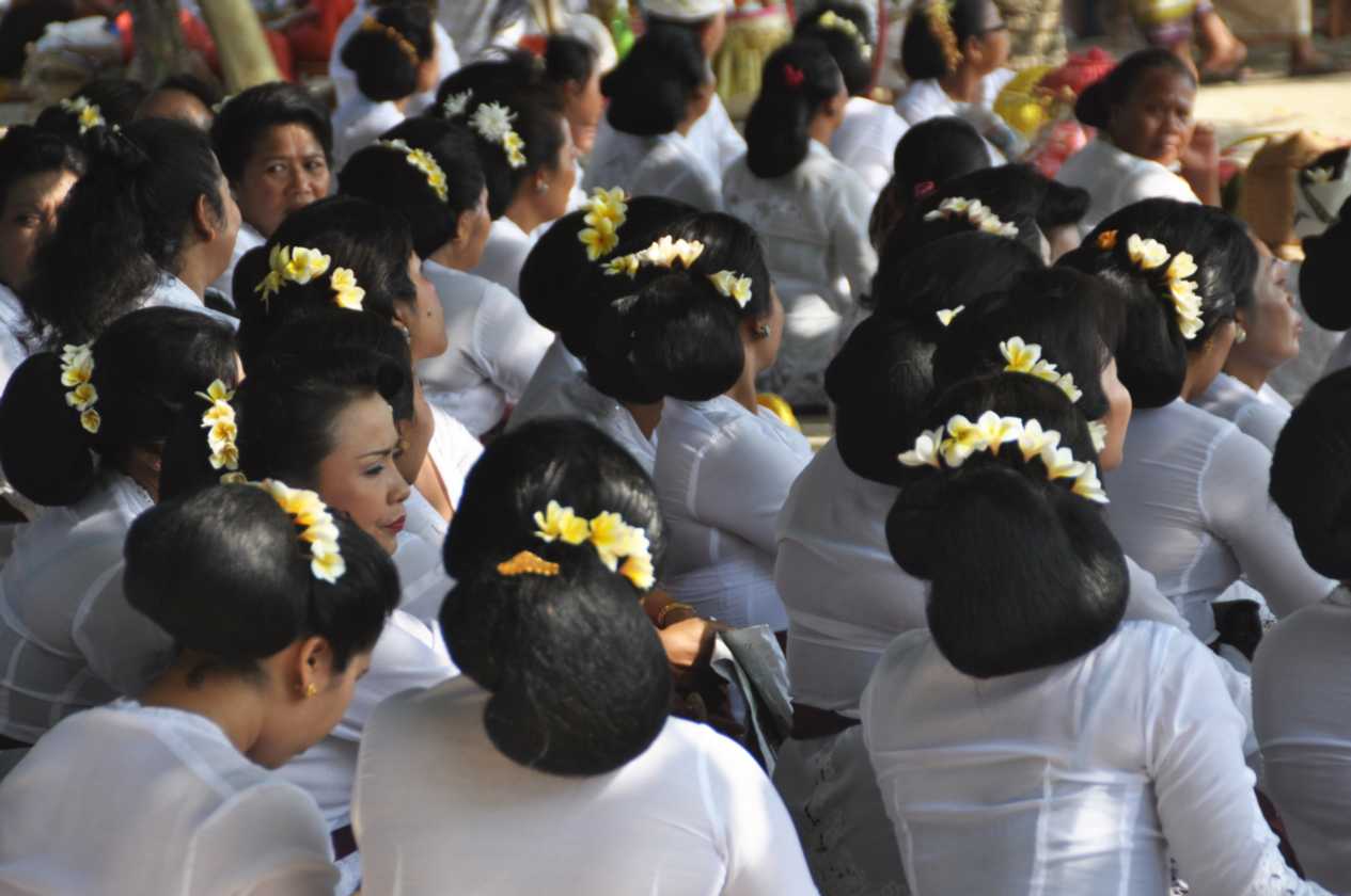 15 indo2010-31-1