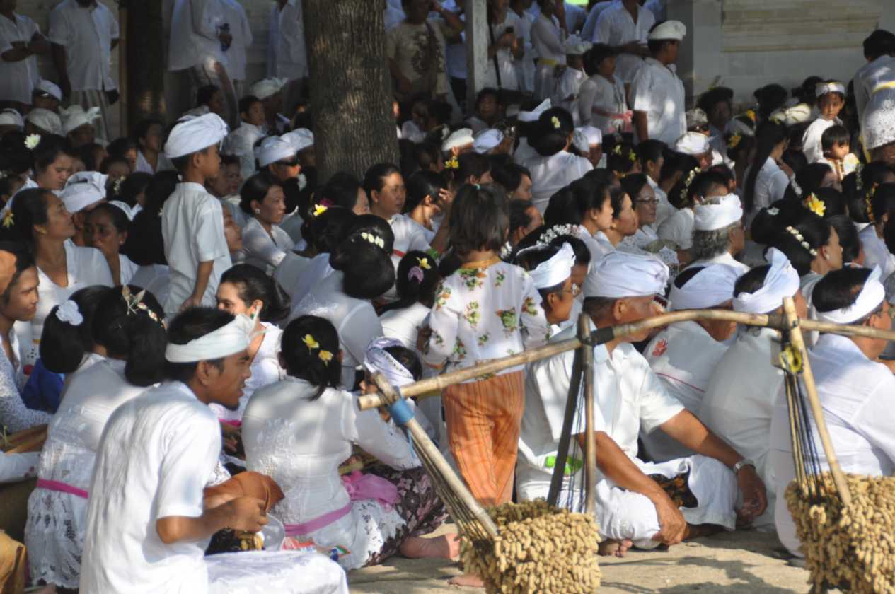 15 indo2010-46-1