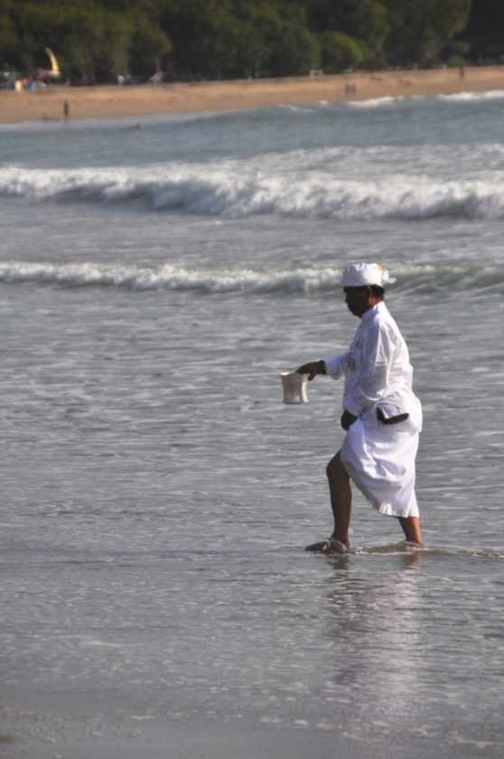 15 indo2010-49-1