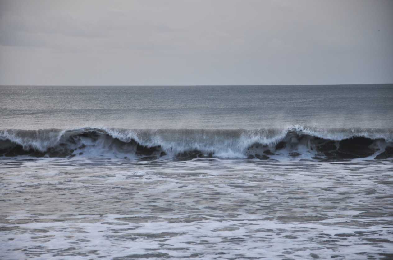 15 indo2010-59-1