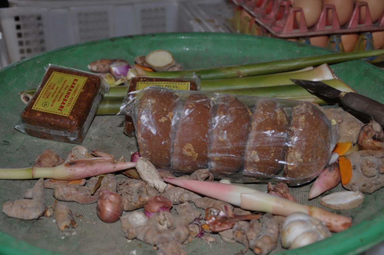16 indo2010-13
