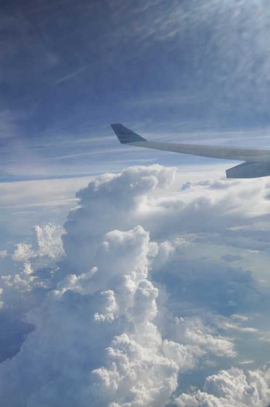17 indo2010-08