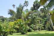 01 indo2010-62