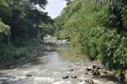 01 indo2010-63