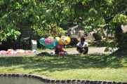 01 indo2010-71