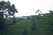 02 indo2010-13