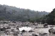 03 indo2010-36