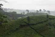 03 indo2010-58