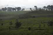 03 indo2010-74