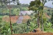 03 indo2010-92