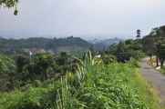 03 indo2010-93