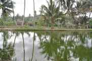 04 indo2010-02