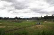 04 indo2010-03