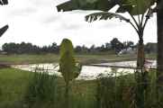 04 indo2010-04