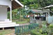04 indo2010-11