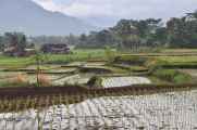 04 indo2010-30