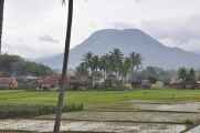 04 indo2010-31