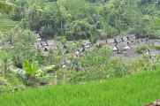04 indo2010-32