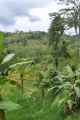 04 indo2010-34