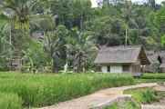 04 indo2010-38