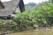 04 indo2010-58