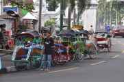 06 indo2010-49