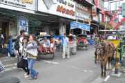 06 indo2010-67