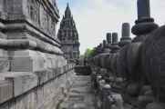 07 indo2010-017