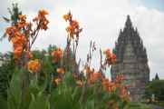 07 indo2010-041