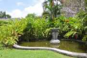 07 indo2010-065