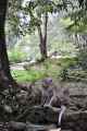 07 indo2010-077