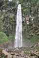 07 indo2010-082