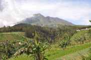 07 indo2010-088